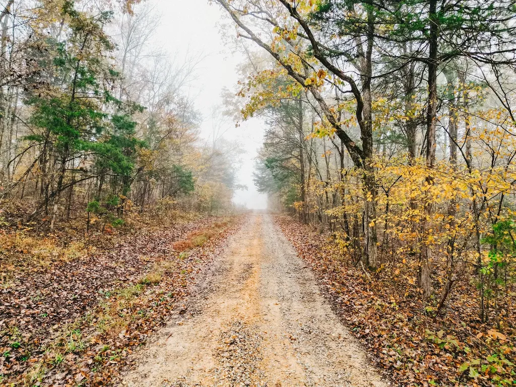 2100 Hill Station Road Columbia TN 38401