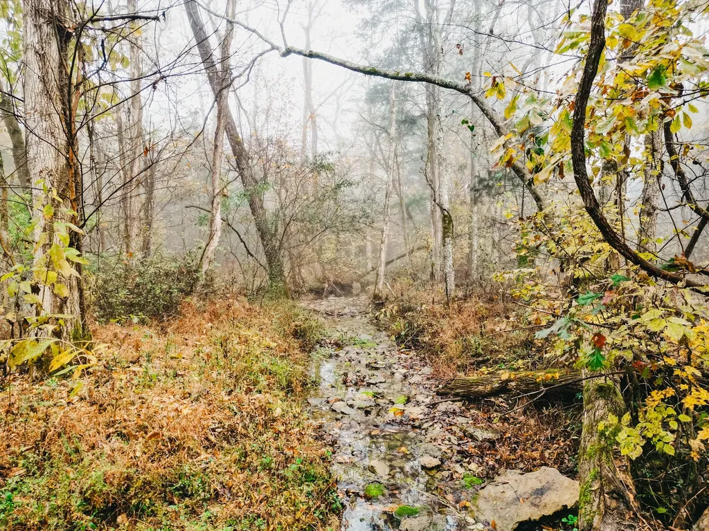 2100 Hill Station Road Columbia TN 38401