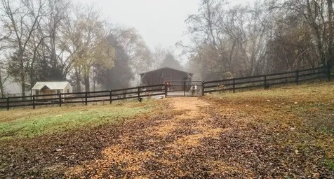 2100 Hill Station Road Columbia TN 38401