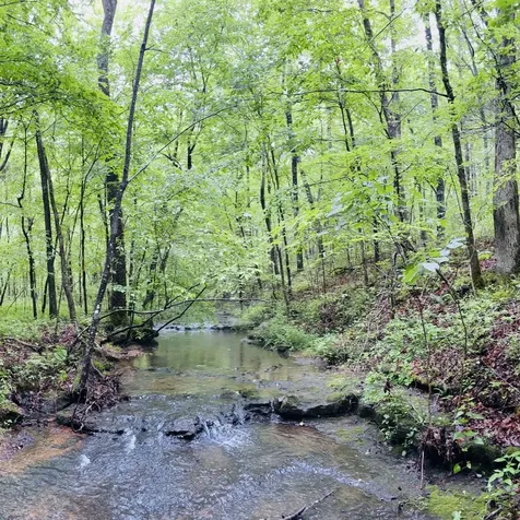 236 Center Ridge Drive Hohenwald TN 38462