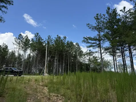 236 Center Ridge Drive Hohenwald TN 38462