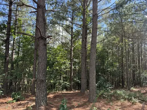 236 Center Ridge Drive Hohenwald TN 38462