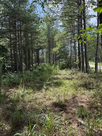 236 Center Ridge Drive Hohenwald TN 38462