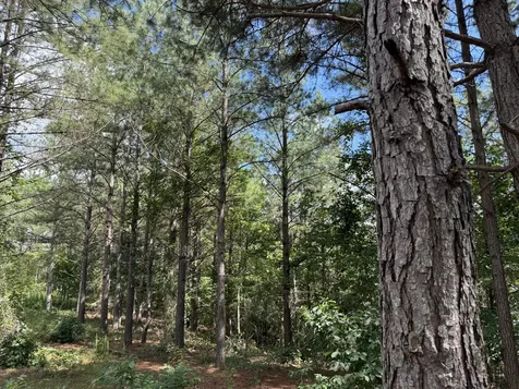 236 Center Ridge Drive Hohenwald TN 38462