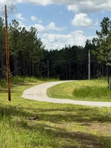 236 Center Ridge Drive Hohenwald TN 38462