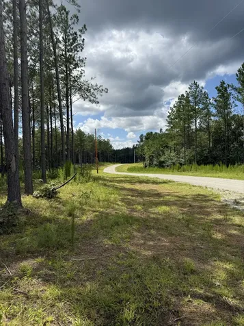 236 Center Ridge Drive Hohenwald TN 38462