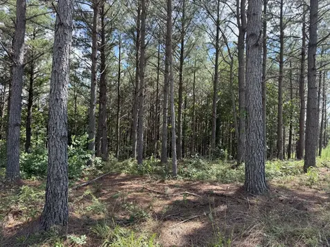 236 Center Ridge Drive Hohenwald TN 38462