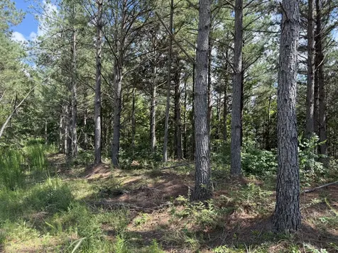 236 Center Ridge Drive Hohenwald TN 38462