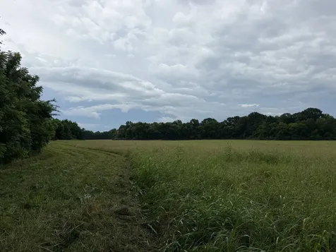 0 Massey Road Mount Pleasant TN 38474