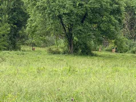 0 Massey Road Mount Pleasant TN 38474