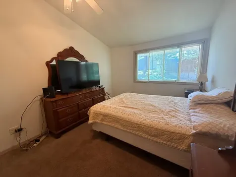 485 Russwood Drive Springville TN 38256