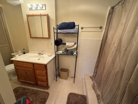 485 Russwood Drive Springville TN 38256