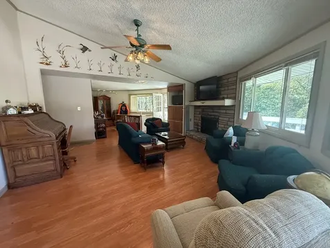 485 Russwood Drive Springville TN 38256