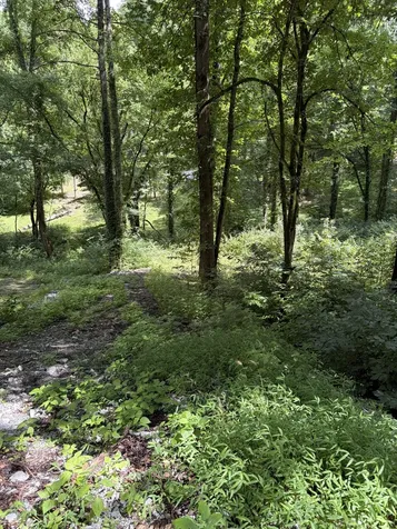 0 Harbor Drive Lancaster TN 38569