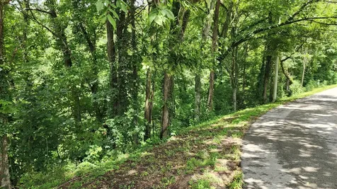 0 Aqua View Drive Silver Point TN 38582