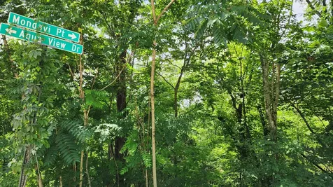 0 Aqua View Drive Silver Point TN 38582