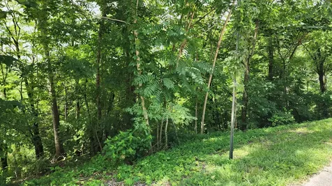 0 Aqua View Drive Silver Point TN 38582