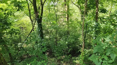 0 Aqua View Drive Silver Point TN 38582