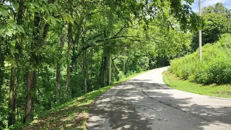 0 Aqua View Drive Silver Point TN 38582