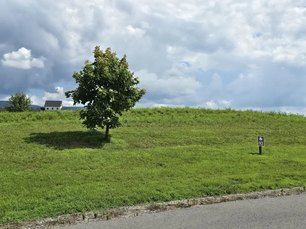 92 Farmview Way Drive Dunlap TN 37327