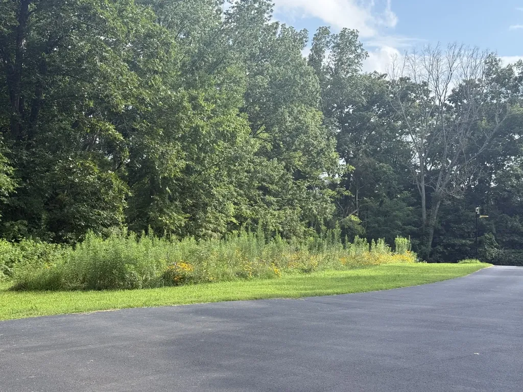 1600 Ledford Road Culleoka TN 38451