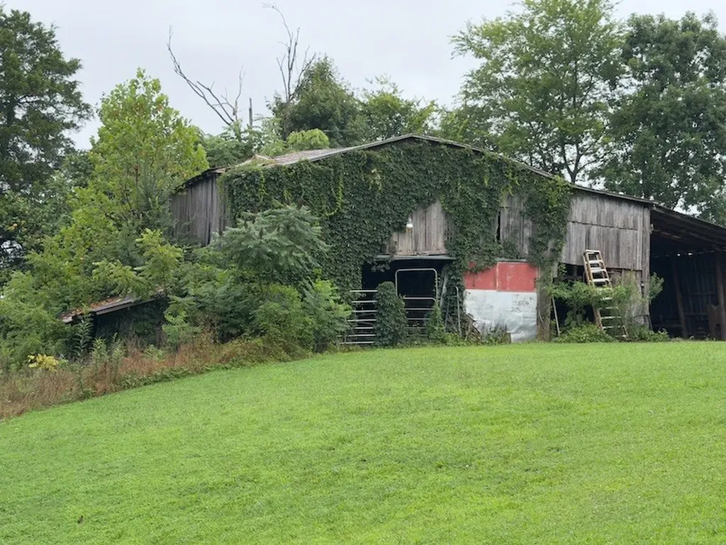 2709 Pea Ridge Road Liberty TN 37095