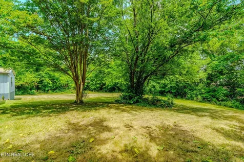 1619 Beaumont Avenue Knoxville TN 37921