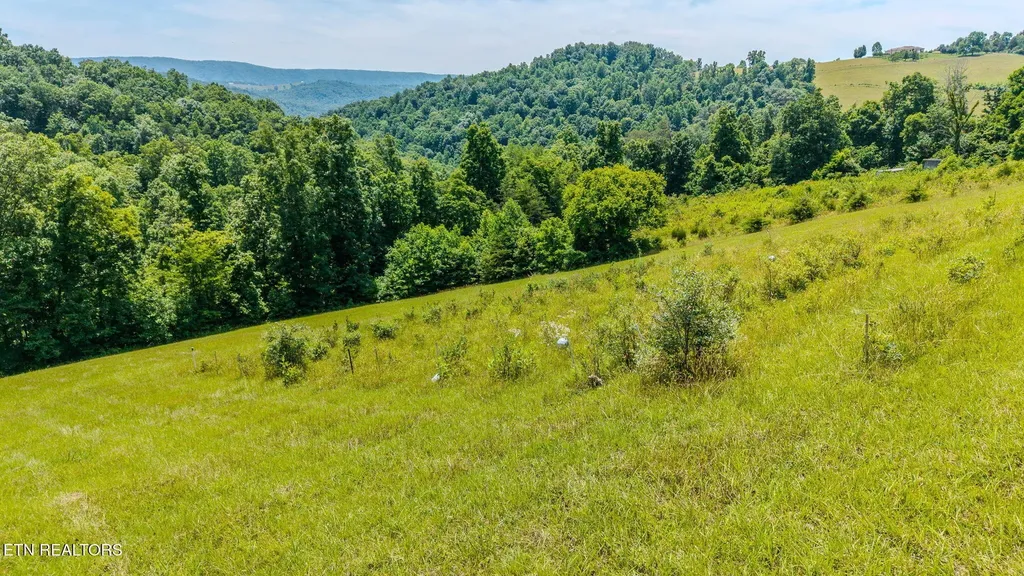 1563 Raven Hill Road Tazewell TN 37879