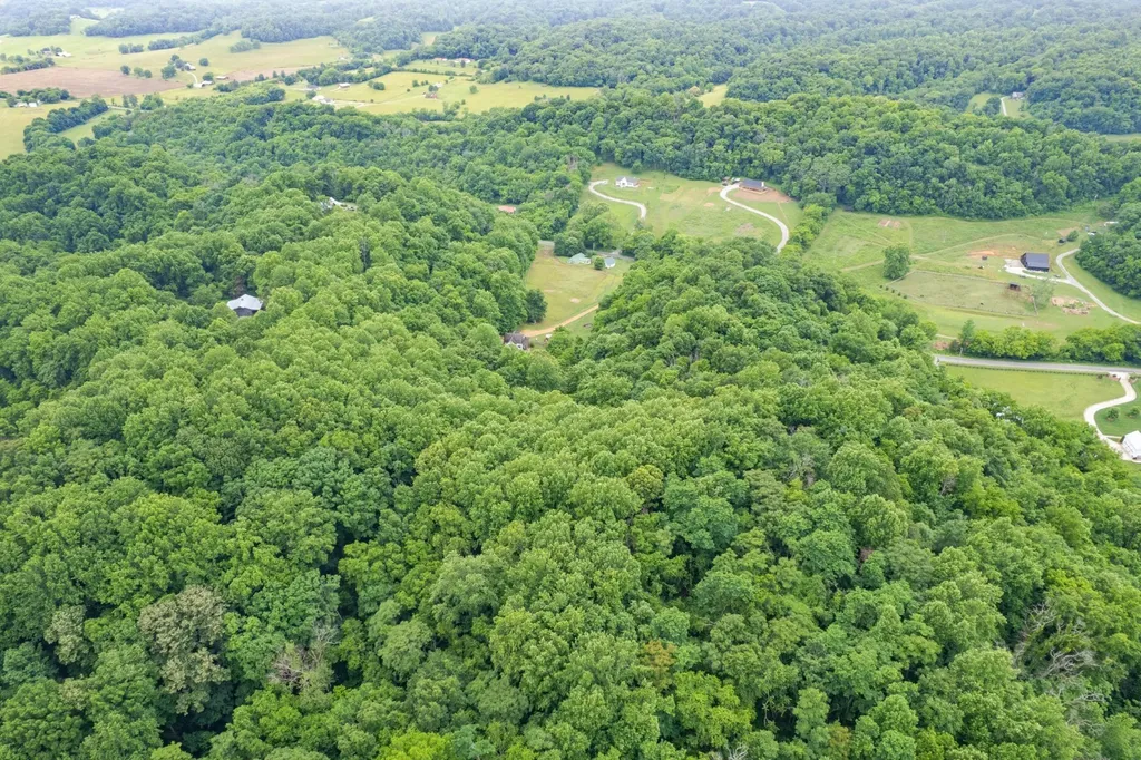 2650 Haywood Hollow Road Columbia TN 38401