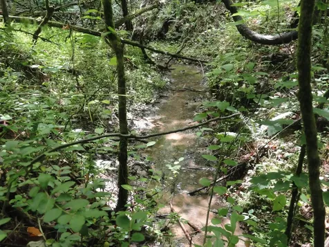396 County Road 778 Athens TN 37303