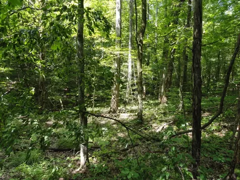 396 County Road 778 Athens TN 37303