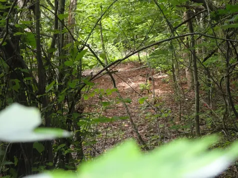 396 County Road 778 Athens TN 37303