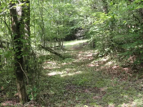 396 County Road 778 Athens TN 37303
