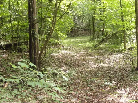 396 County Road 778 Athens TN 37303