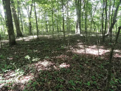 396 County Road 778 Athens TN 37303
