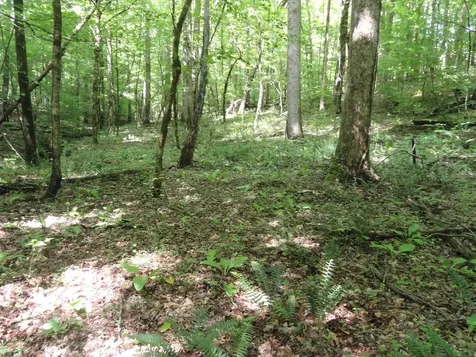 396 County Road 778 Athens TN 37303
