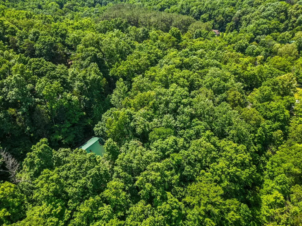 1150 Treanor Springs Road Kingston Springs TN 37082