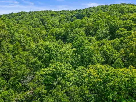 1150 Treanor Springs Road Kingston Springs TN 37082