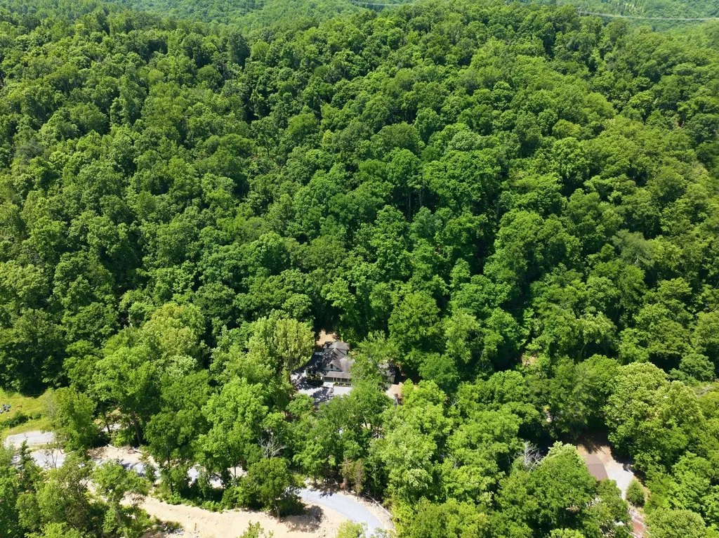 1032 Paint Pony Trail Pegram TN 37143