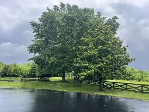 4118 Gordonsville Road Lewisburg KY 42256