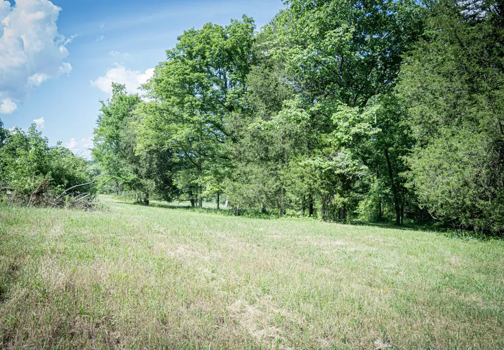 0 Pulaski Highway Fayetteville TN 37334