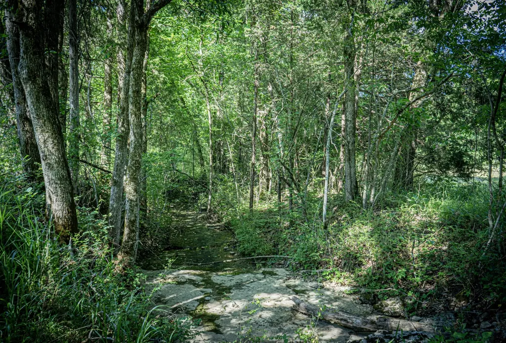 0 Pulaski Highway Fayetteville TN 37334