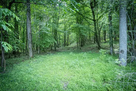 0 Pulaski Highway Fayetteville TN 37334