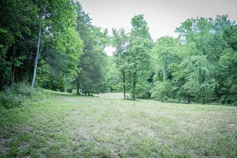 0 Pulaski Highway Fayetteville TN 37334
