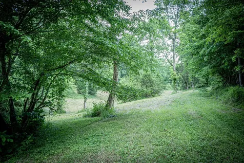 0 Pulaski Highway Fayetteville TN 37334