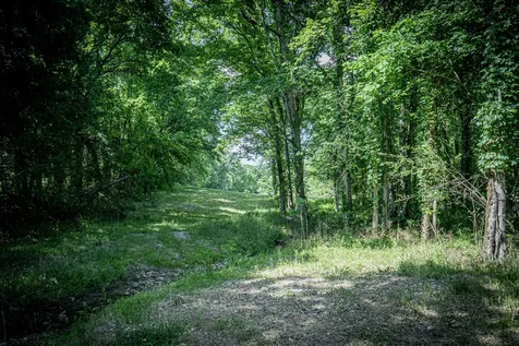 0 Pulaski Highway Fayetteville TN 37334