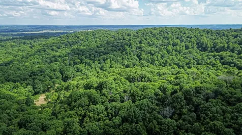 0 Pulaski Highway Fayetteville TN 37334