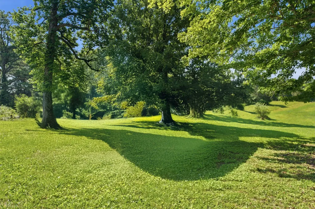 3965 Highway 70, W Dickson TN 37055