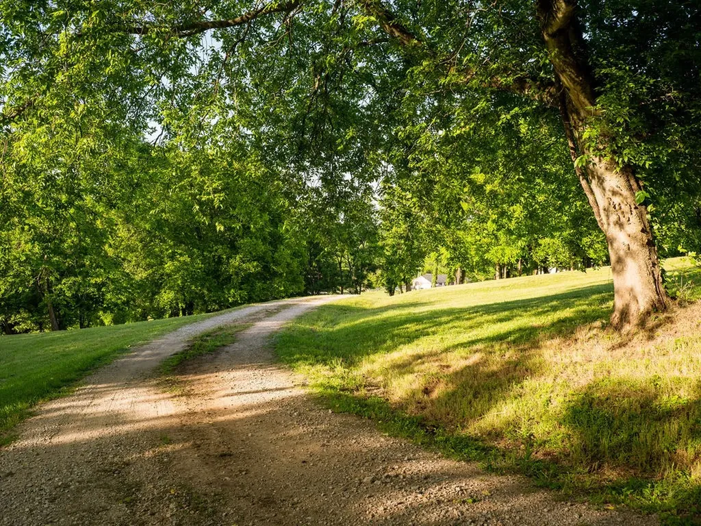 2351 Harlan Road Columbia TN 38401