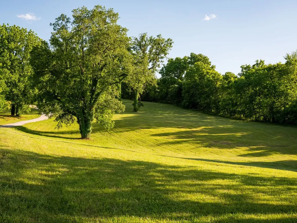 2351 Harlan Road Columbia TN 38401